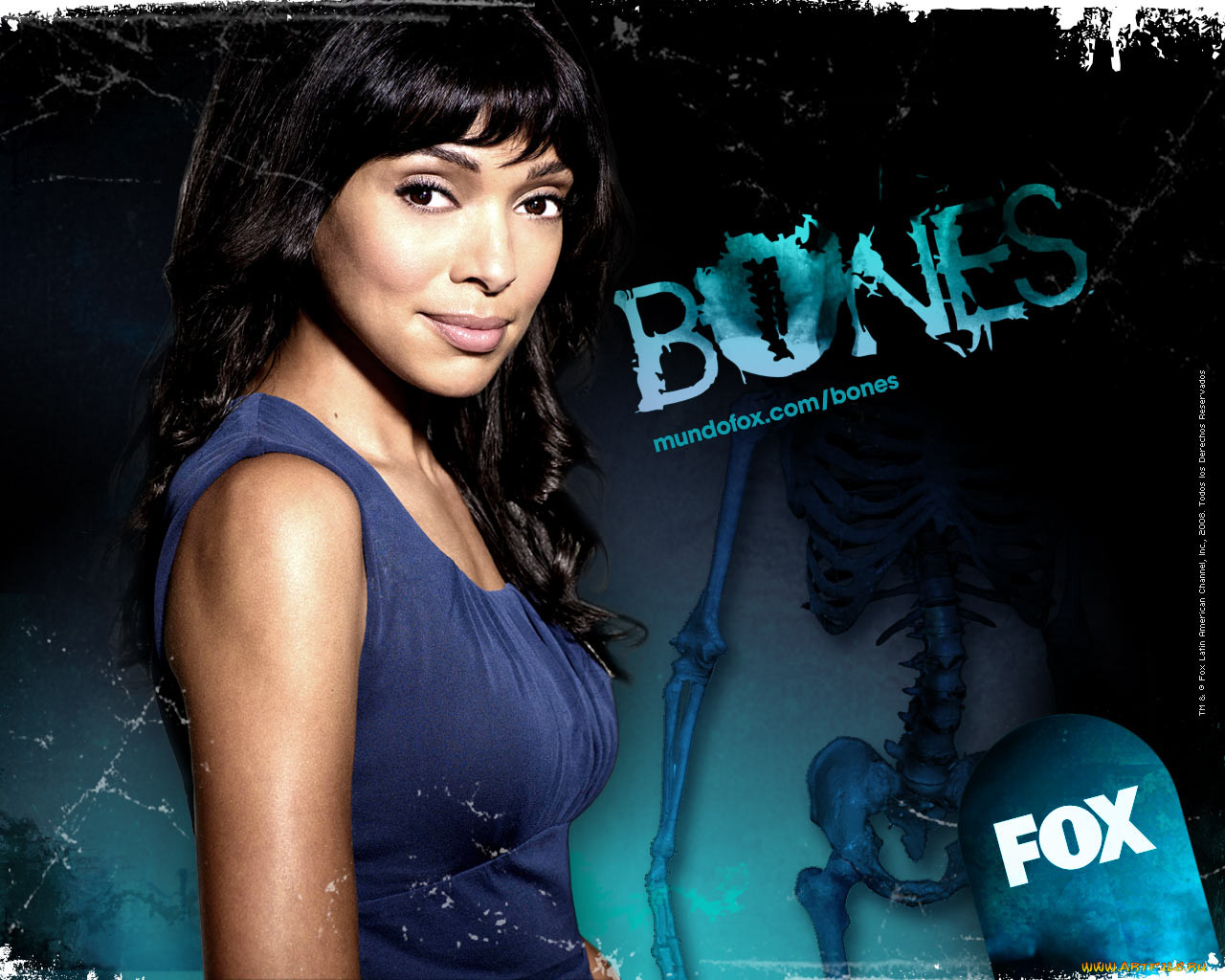 , , bones